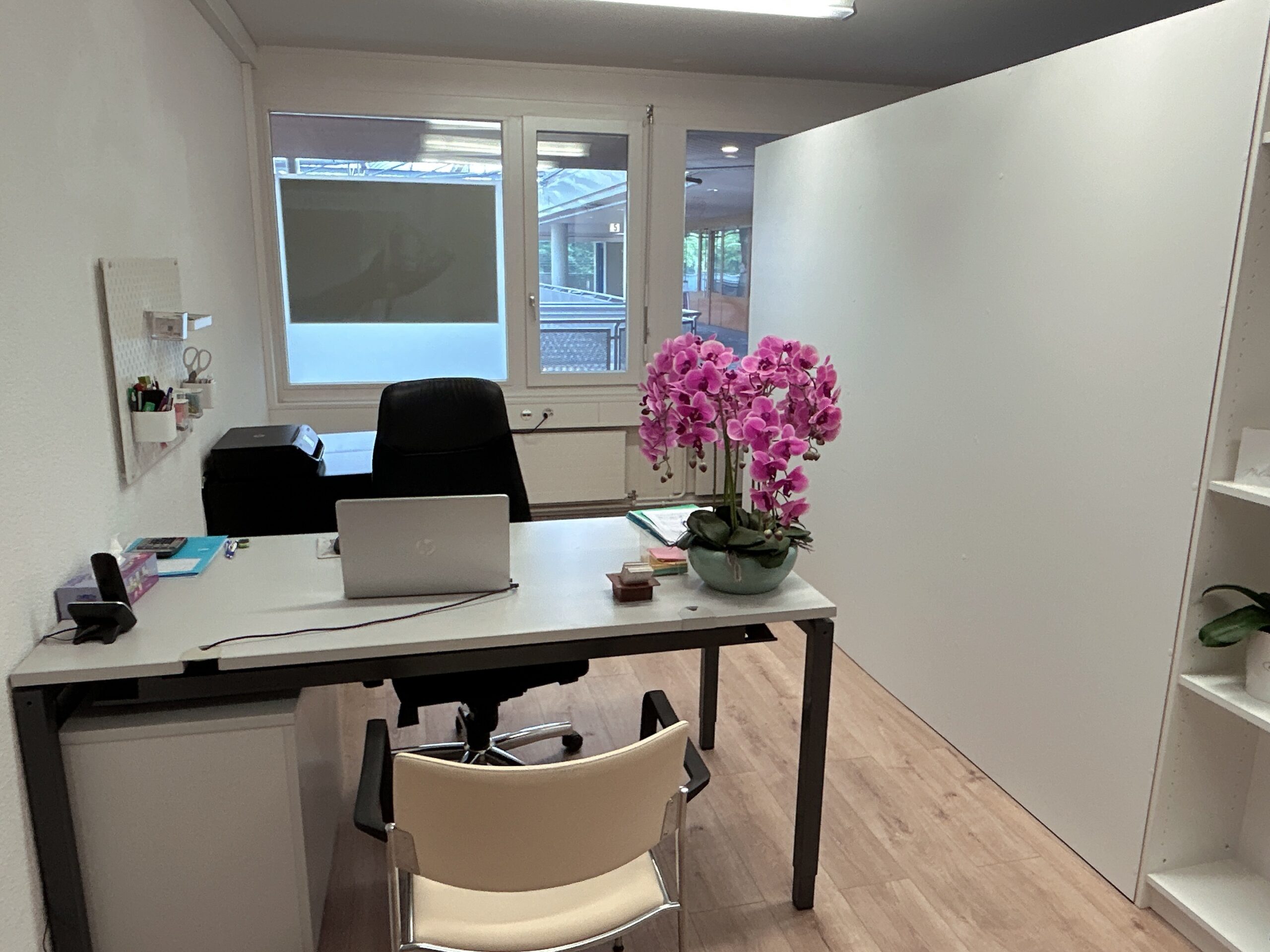 Traditionelle_Chinesische_Medizin_Bern_Vorteile basel garage 4 room4u